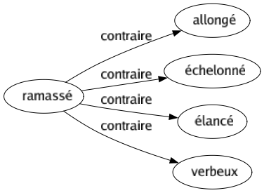 Contraire de Ramassé : Allongé Échelonné Élancé Verbeux 