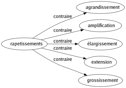 Contraire de Rapetissements : Agrandissement Amplification Élargissement Extension Grossissement 