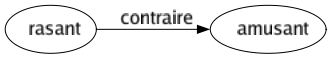Contraire de Rasant : Amusant 