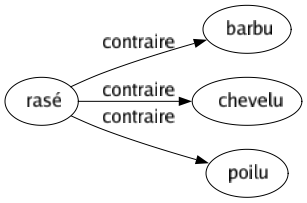 Contraire de Rasé : Barbu Chevelu Poilu 