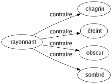Contraire de Rayonnant : Chagrin Éteint Obscur Sombré 