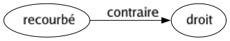 Contraire de Recourbé : Droit 