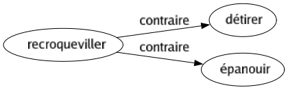 Contraire de Recroqueviller : Détirer Épanouir 