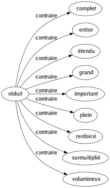 Contraire de Réduit : Complet Entier Étendu Grand Important Plein Renforcé Surmultiplié Volumineux 