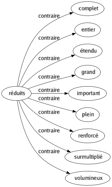 Contraire de Réduits : Complet Entier Étendu Grand Important Plein Renforcé Surmultiplié Volumineux 