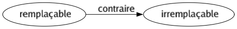 Contraire de Remplaçable : Irremplaçable 