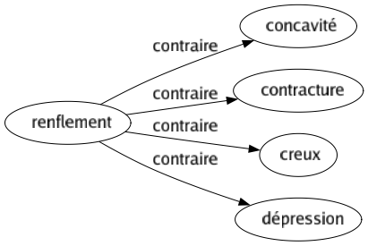 Contraire de Renflement : Concavité Contracture Creux Dépression 