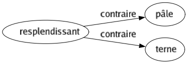 Contraire de Resplendissant : Pâle Terne 