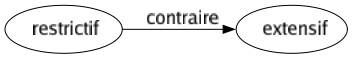 Contraire de Restrictif : Extensif 