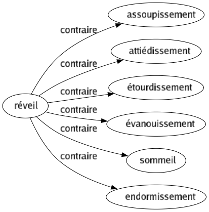 Contraire de Réveil : Assoupissement Attiédissement Étourdissement Évanouissement Sommeil Endormissement 
