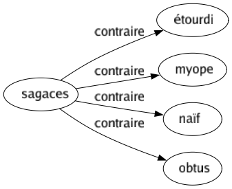 Contraire de Sagaces : Étourdi Myope Naïf Obtus 