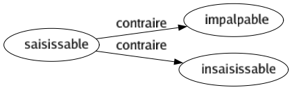 Contraire de Saisissable : Impalpable Insaisissable 