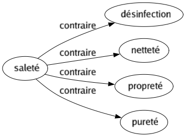 Contraire de Saleté : Désinfection Netteté Propreté Pureté 
