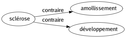Contraire de Sclérose : Amollissement Développement 