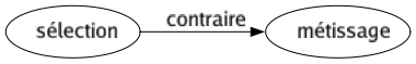 Contraire de Sélection : Métissage 