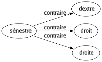 Contraire de Sénestre : Dextre Droit Droite 