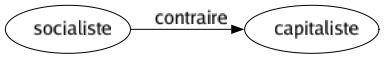Contraire de Socialiste : Capitaliste 