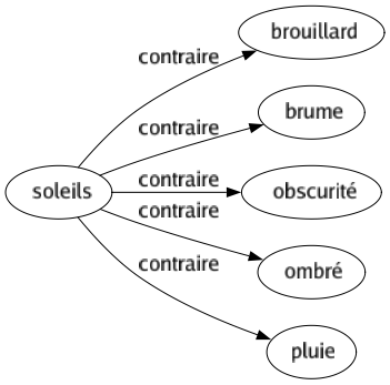 Contraire de Soleils : Brouillard Brume Obscurité Ombré Pluie 