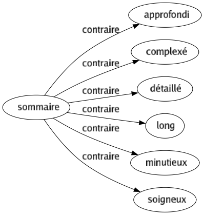 Contraire de Sommaire : Approfondi Complexé Détaillé Long Minutieux Soigneux 