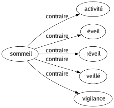 Contraire de Sommeil : Activité Éveil Réveil Veillé Vigilance 