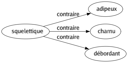 Contraire de Squelettique : Adipeux Charnu Débordant 