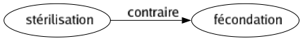 Contraire de Stérilisation : Fécondation 