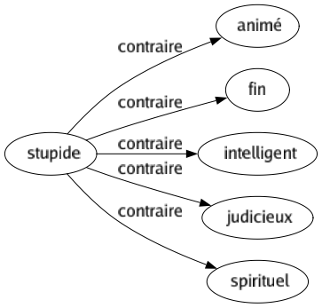 Contraire de Stupide : Animé Fin Intelligent Judicieux Spirituel 