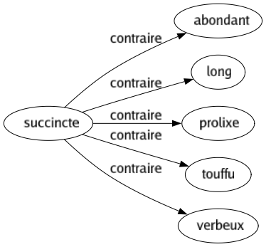 Contraire de Succincte : Abondant Long Prolixe Touffu Verbeux 