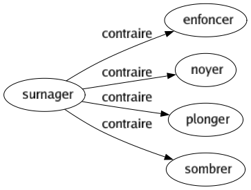 Contraire de Surnager : Enfoncer Noyer Plonger Sombrer 