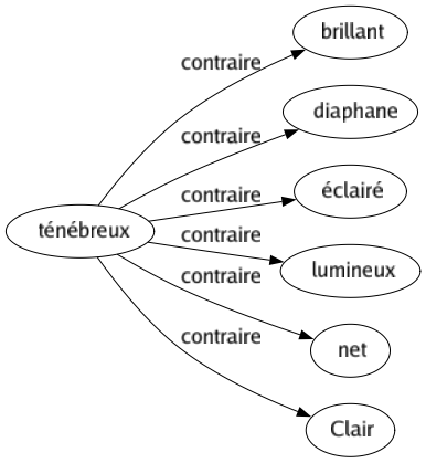 Contraire de Ténébreux : Brillant Diaphane Éclairé Lumineux Net Clair 
