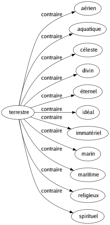 Contraire de Terrestre : Aérien Aquatique Céleste Divin Éternel Idéal Immatériel Marin Maritime Religieux Spirituel 