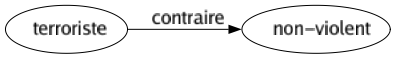 Contraire de Terroriste : Non-violent 
