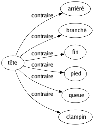 Contraire de Tête : Arriéré Branché Fin Pied Queue Clampin 