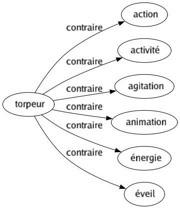 Contraire de Torpeur : Action Activité Agitation Animation Énergie Éveil 