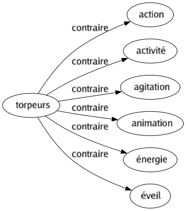 Contraire de Torpeurs : Action Activité Agitation Animation Énergie Éveil 