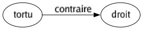 Contraire de Tortu : Droit 