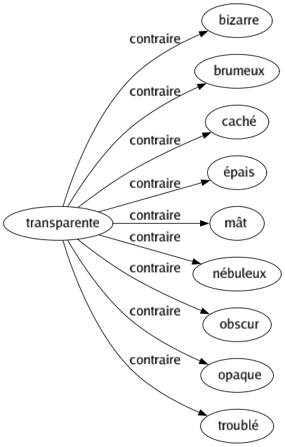 Contraire de Transparente : Bizarre Brumeux Caché Épais Mât Nébuleux Obscur Opaque Troublé 