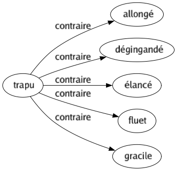 Contraire de Trapu : Allongé Dégingandé Élancé Fluet Gracile 