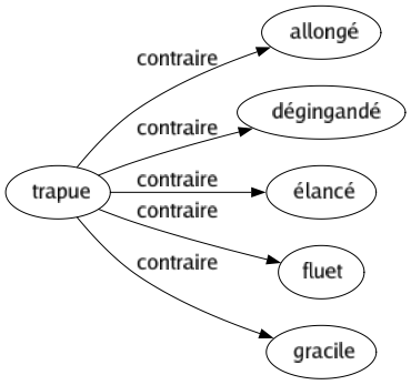 Contraire de Trapue : Allongé Dégingandé Élancé Fluet Gracile 