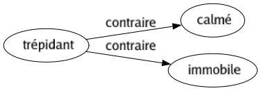 Contraire de Trépidant : Calmé Immobile 