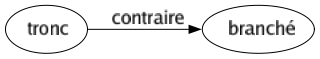Contraire de Tronc : Branché 