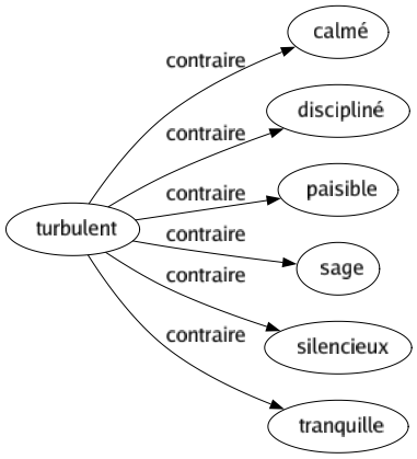 Contraire de Turbulent : Calmé Discipliné Paisible Sage Silencieux Tranquille 