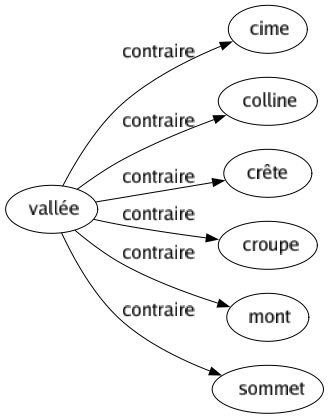 Contraire de Vallée : Cime Colline Crête Croupe Mont Sommet 