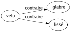 Contraire de Velu : Glabre Lissé 