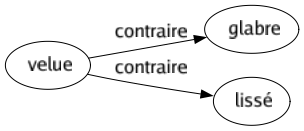 Contraire de Velue : Glabre Lissé 