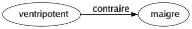 Contraire de Ventripotent : Maigre 