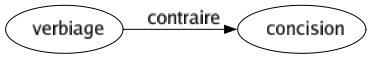 Contraire de Verbiage : Concision 