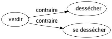 Contraire de Verdir : Dessécher Se dessécher 