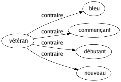 Contraire de Vétéran : Bleu Commençant Débutant Nouveau 