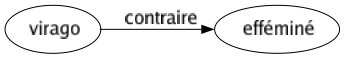 Contraire de Virago : Efféminé 